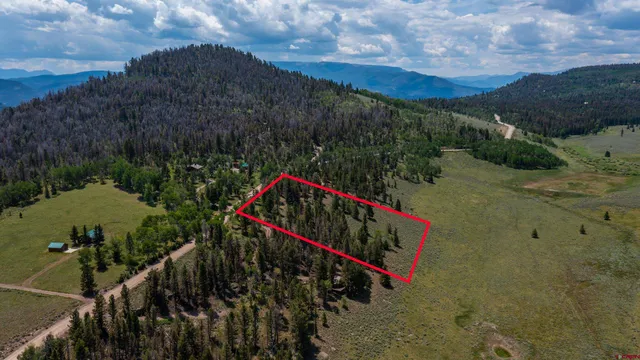a view of a park with a plants and trees