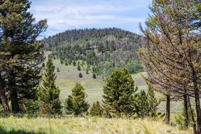 a view of a pathway of a building