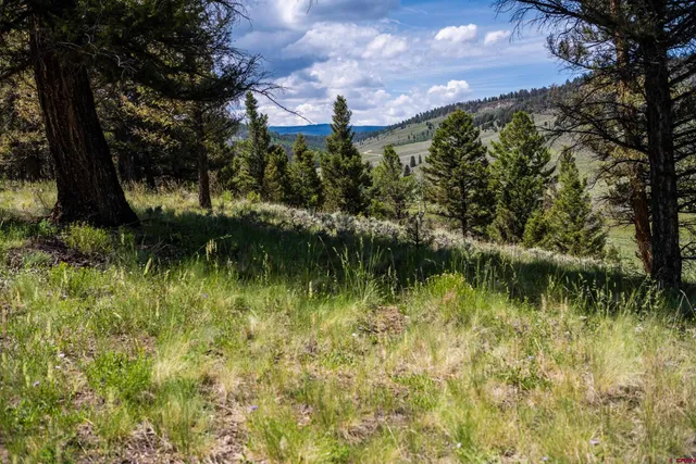 a blue and white house with a yard and wooden fence