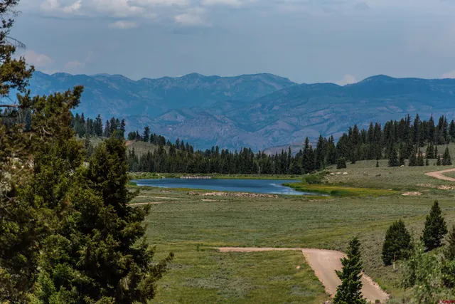 a view of a yard with trees