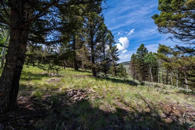 a view of a pathway of a building