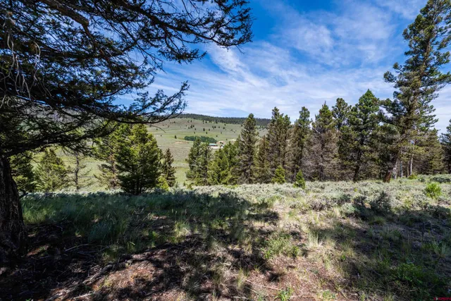 $74,000 | 1021 Slumgullion Trail, Powderhorn, CO 81243