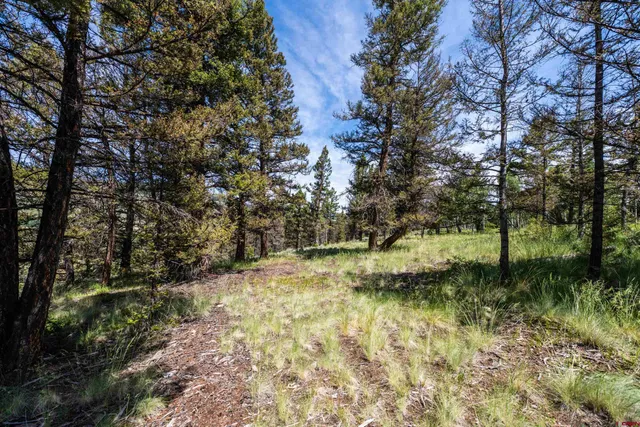 $74,000 | 1021 Slumgullion Trail, Powderhorn, CO 81243