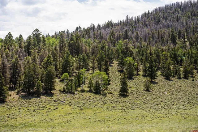 $74,000 | 1021 Slumgullion Trail, Powderhorn, CO 81243