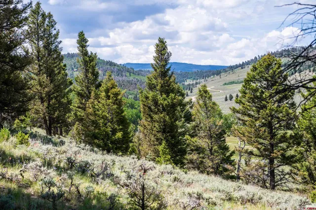 $74,000 | 1021 Slumgullion Trail, Powderhorn, CO 81243