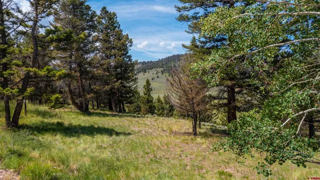 a view of a garden with a bench