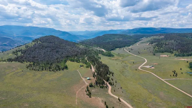a view of a yard with wooden fence