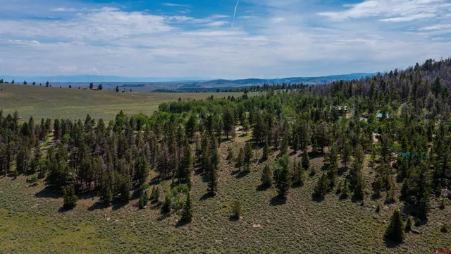 a fire hydrant in the middle of a field