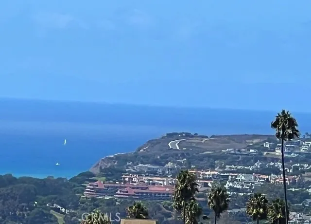 an aerial view of ocean and trees