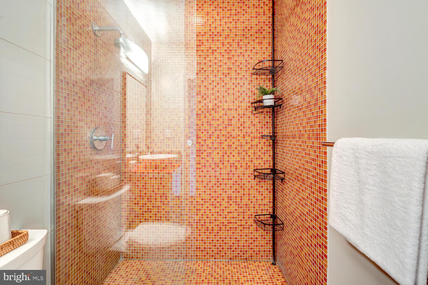 1342 W Street Northwest Washington, DC 20009 - Photo 41 of 60