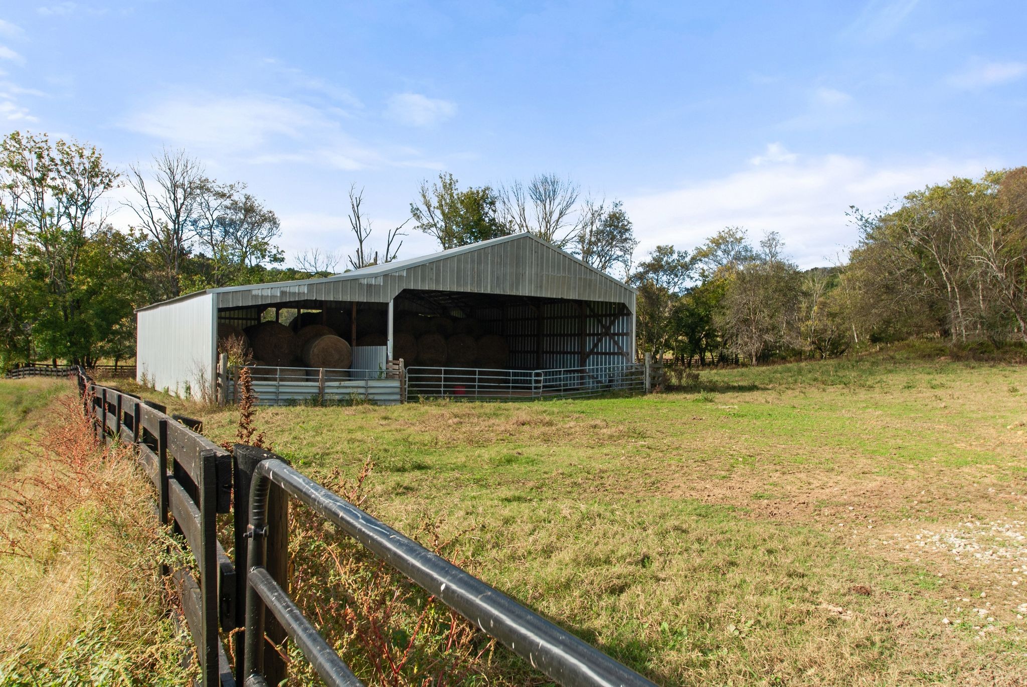 1927 Fowler Hollow Road Lynnville, TN 38472 - Photo 57 of 77 a view of swimming pool with a yard