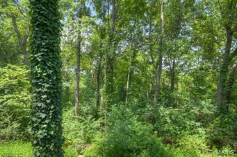 960 Chestnut Ridge Road Manchester, MO 63021 - Photo 5 of 30 Gallery Image 5
