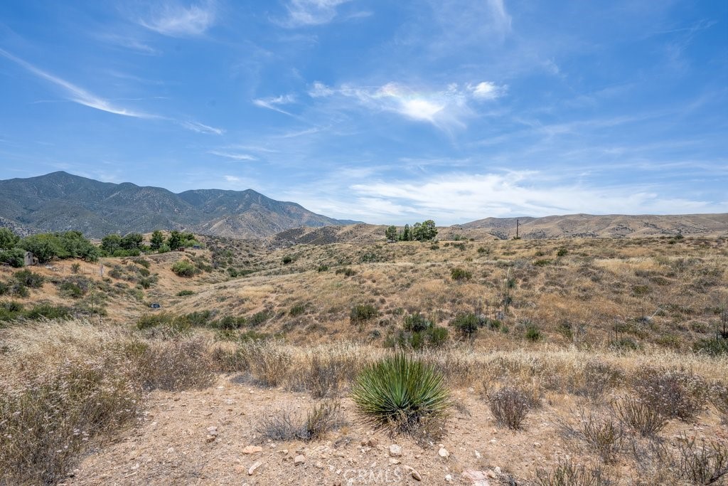 0 Briggs Road Agua Dulce, CA 91390 - Photo 5 of 10