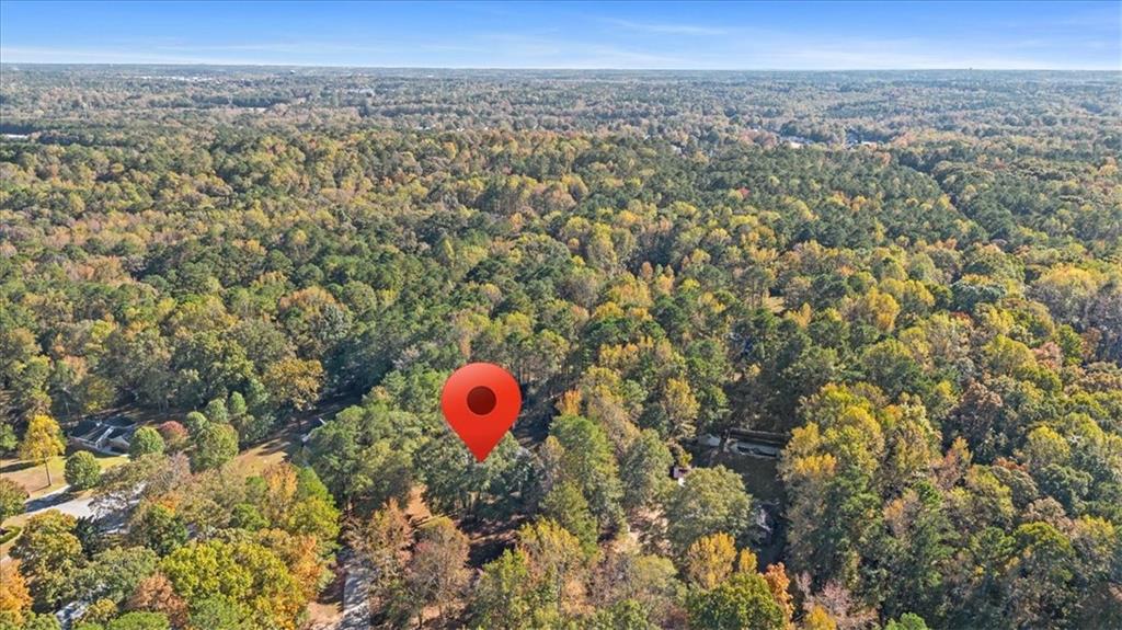 20 Lisa Court Stockbridge, GA 30281 - Photo 53 of 62