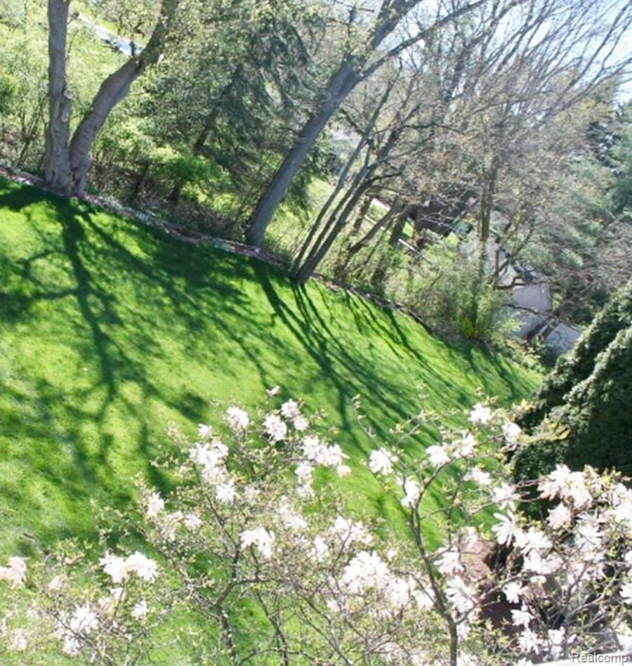 748 Whitney Drive Rochester, MI 48307 - Photo 4 of 12 fullsizeoutput_106.jpeg
