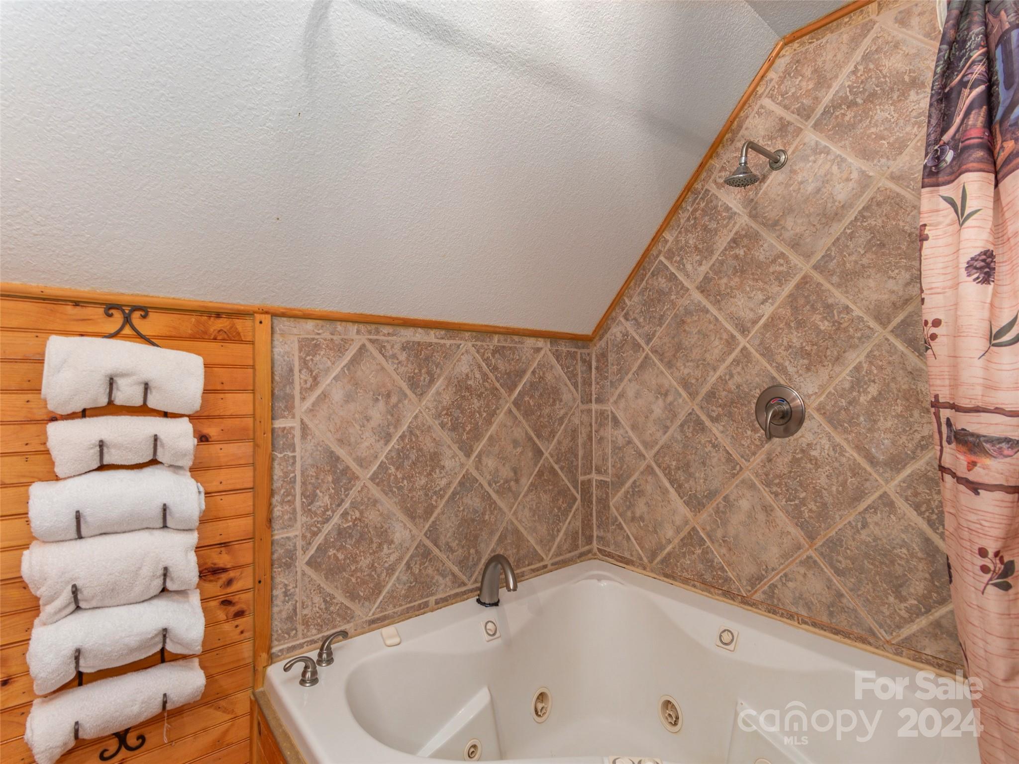 218 Crosspatch Lane Bryson City, NC 28713 - Photo 24 of 40