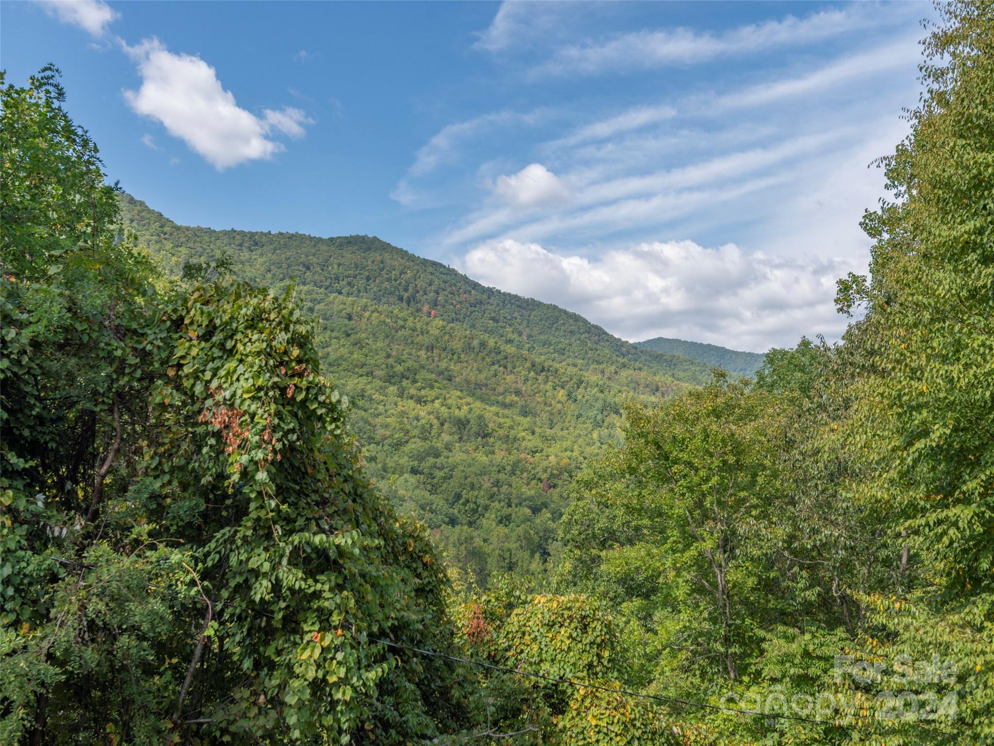 218 Crosspatch Lane Bryson City, NC 28713 - Photo 3 of 40