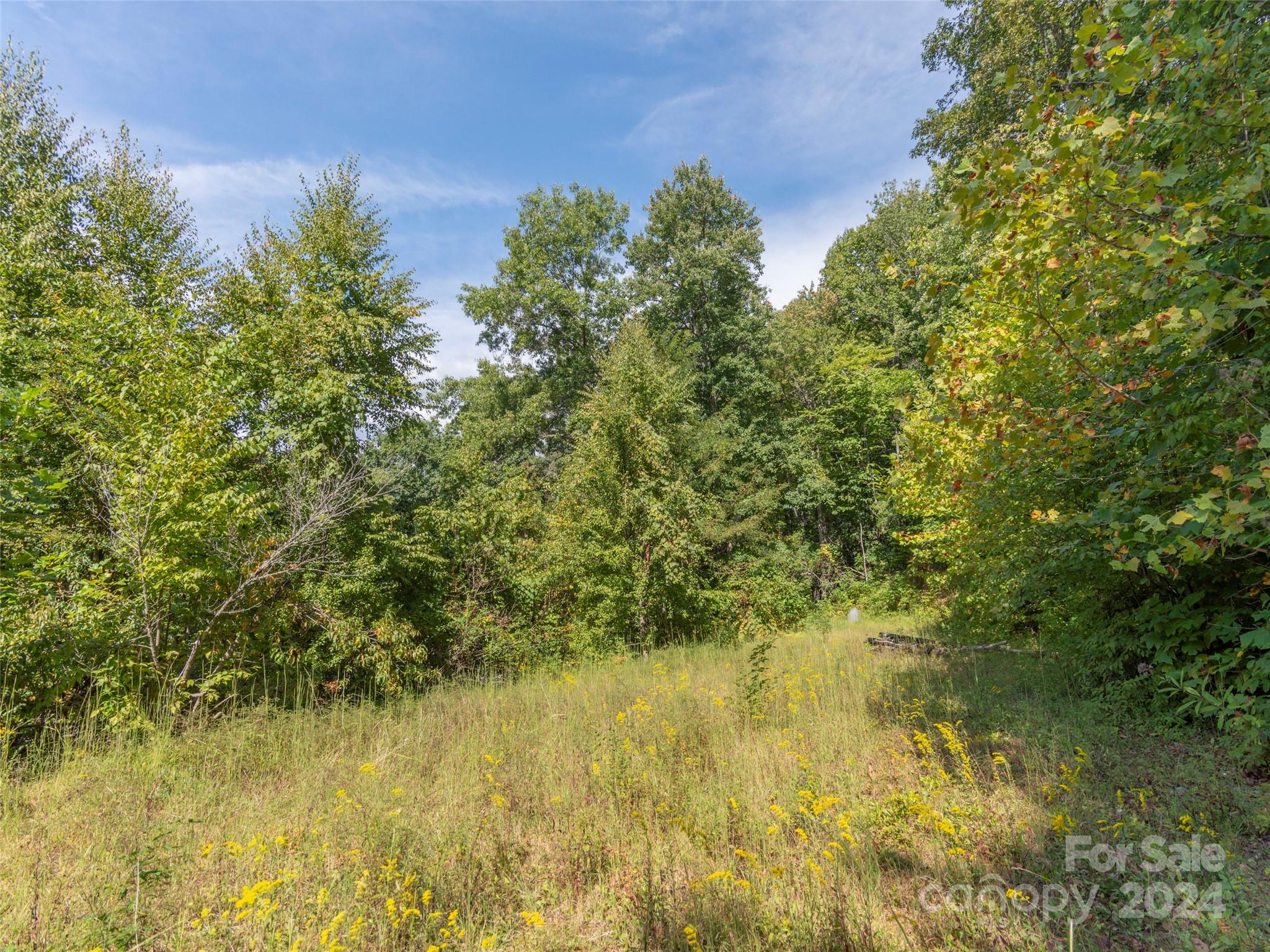 218 Crosspatch Lane Bryson City, NC 28713 - Photo 37 of 40