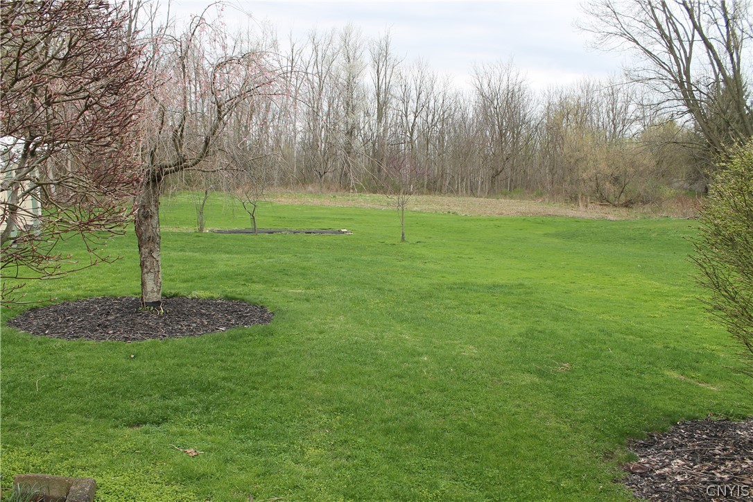 1845 Whiting Road Van Buren, NY 13112 - Photo 5 of 50 backyard