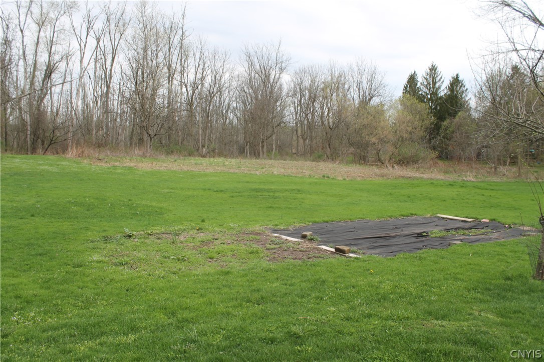 1845 Whiting Road Van Buren, NY 13112 - Photo 8 of 50 Garden area with fruit trees