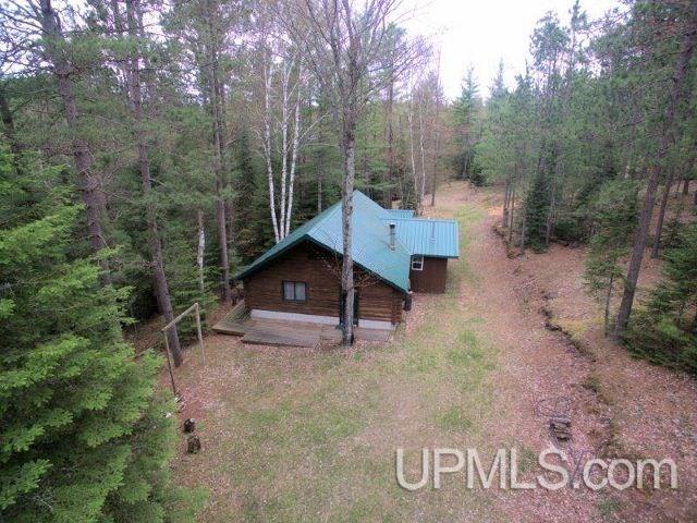 3301 North Co Rd 437 Cooks, MI 49817 - Photo 25 of 25