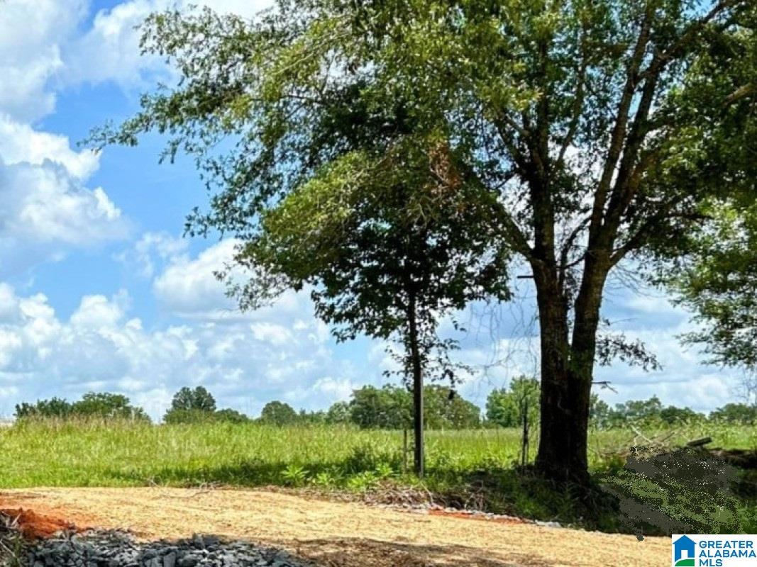 North Hagler Road, Unit 1 Northport, AL 35475 - Photo 1 of 12