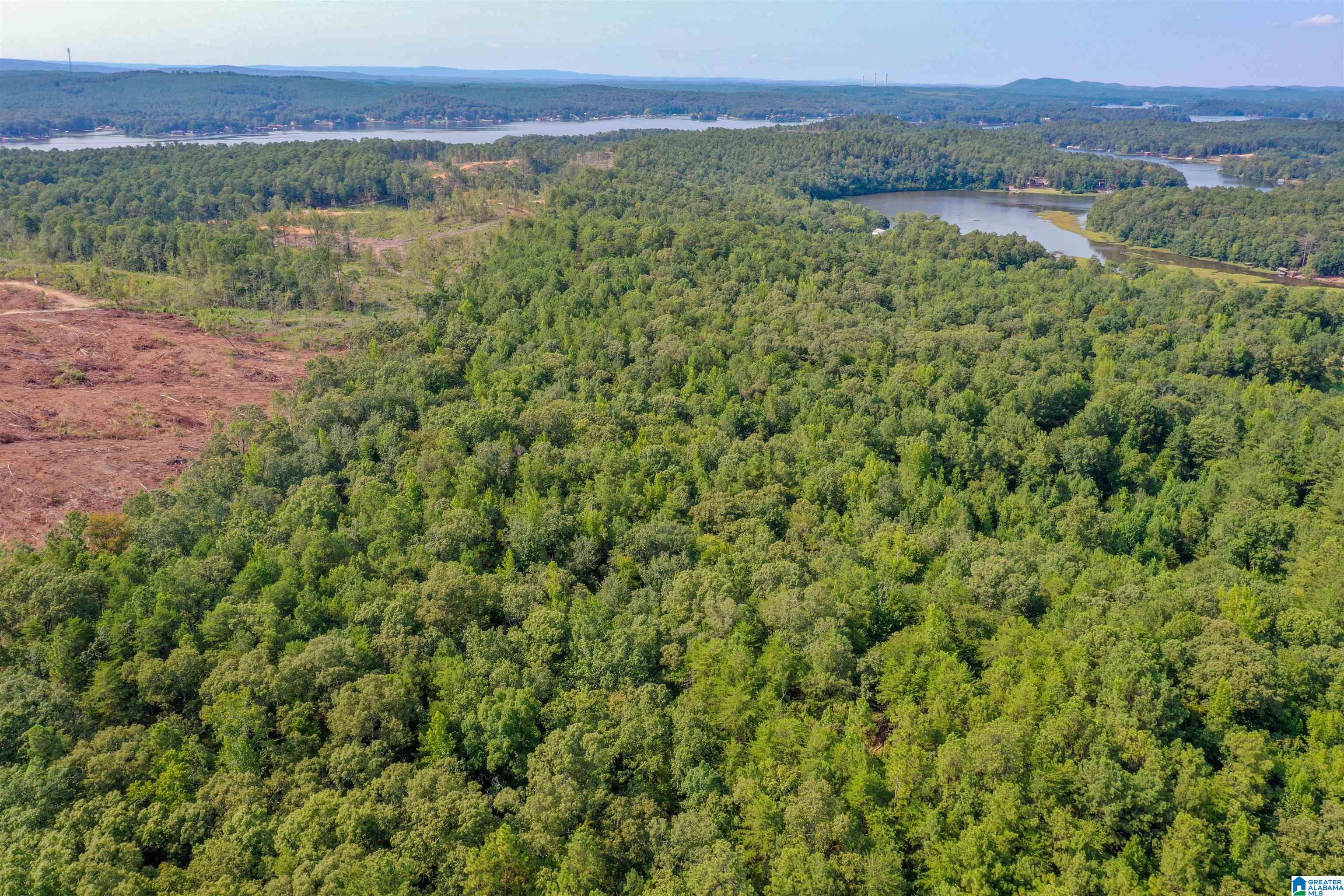 Oak Road Sylacauga, AL 35151 - Photo 7 of 9
