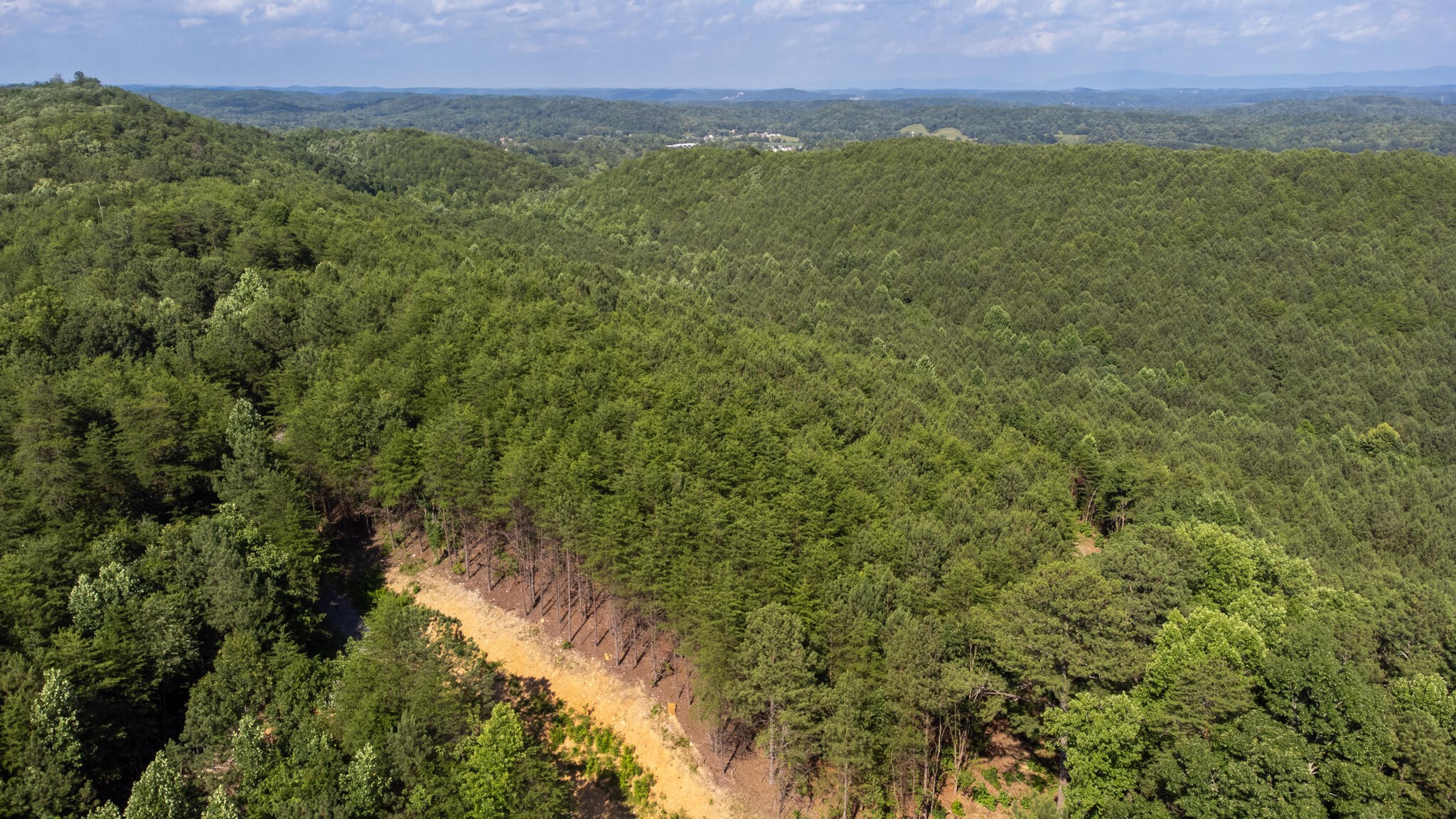 5 Owl Hollow Road Southwest McDonald, TN 37353 - Photo 25 of 32