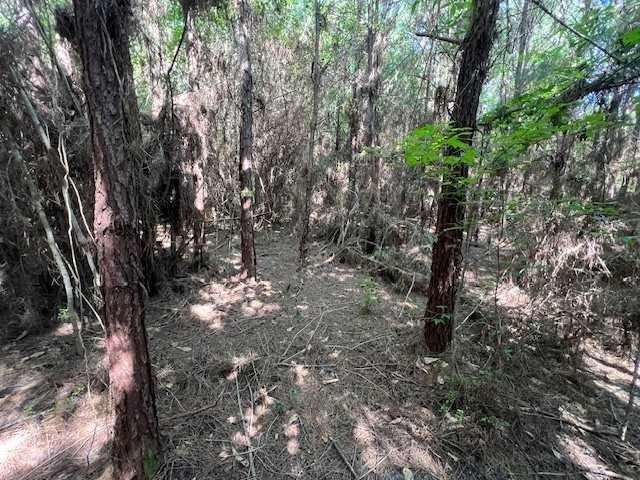 10-ac Laird Road Florala, AL 36442 - Photo 17 of 21 Gallery Image 17