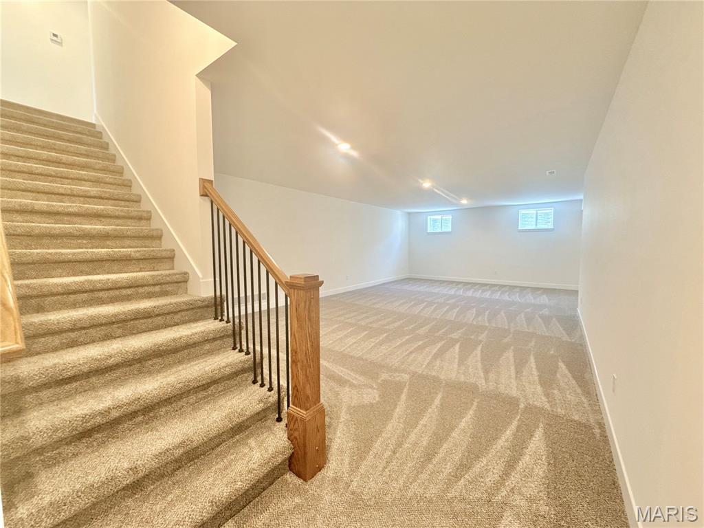 308 Rumsfeld Drive Troy, IL 62294 - Photo 63 of 99