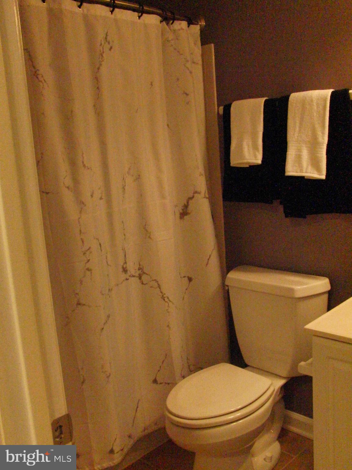 3616 Ransom Place Alexandria, VA 22306 - Photo 18 of 22 Hallway bath upstairs