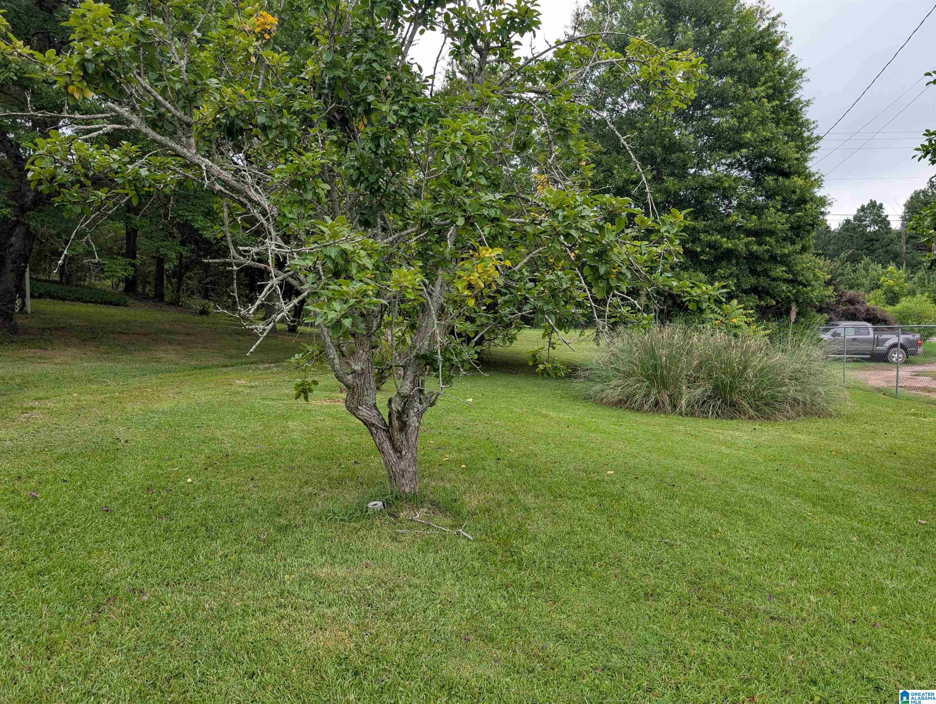 323 Taylors Chapel Road Anniston, AL 36203 - Photo 35 of 43