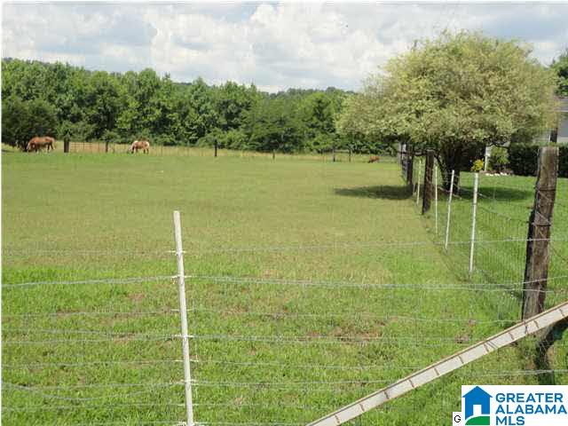 180 Hoyt Hill Road Ashville, AL 35953 - Photo 21 of 32