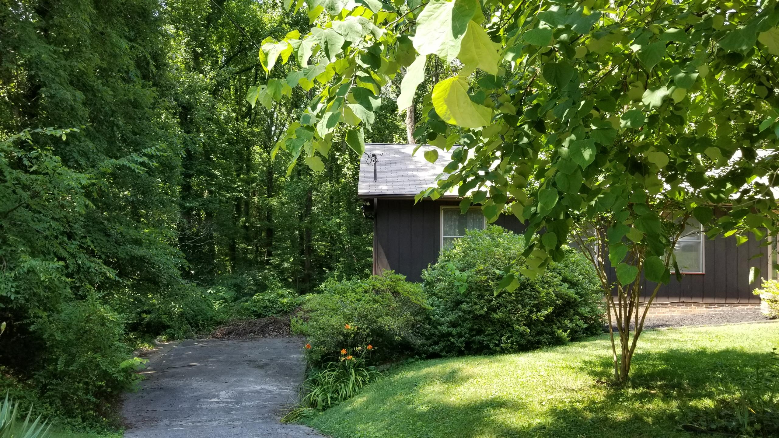 102 Windgate Road Oak Ridge, TN 37830 - Photo 27 of 27 20200702_152841