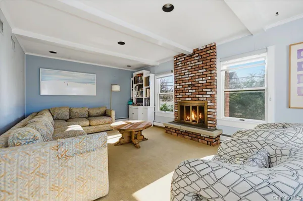 a living room with furniture window and a fireplace