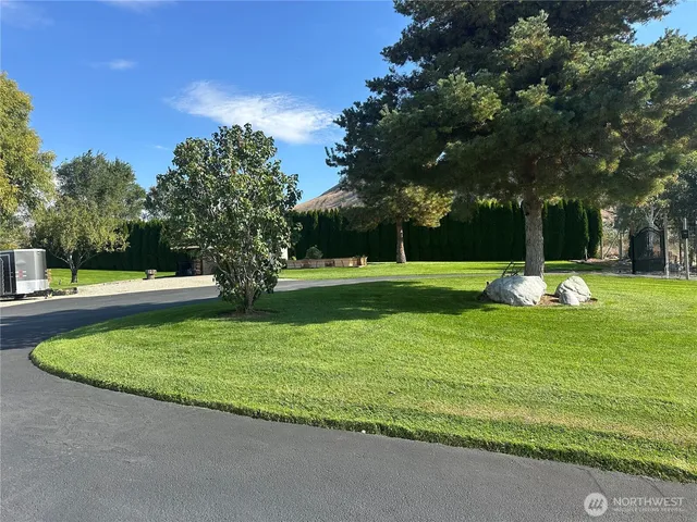 a view of a park with large trees
