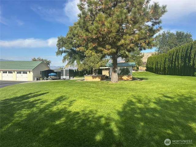 a view of a park with large trees