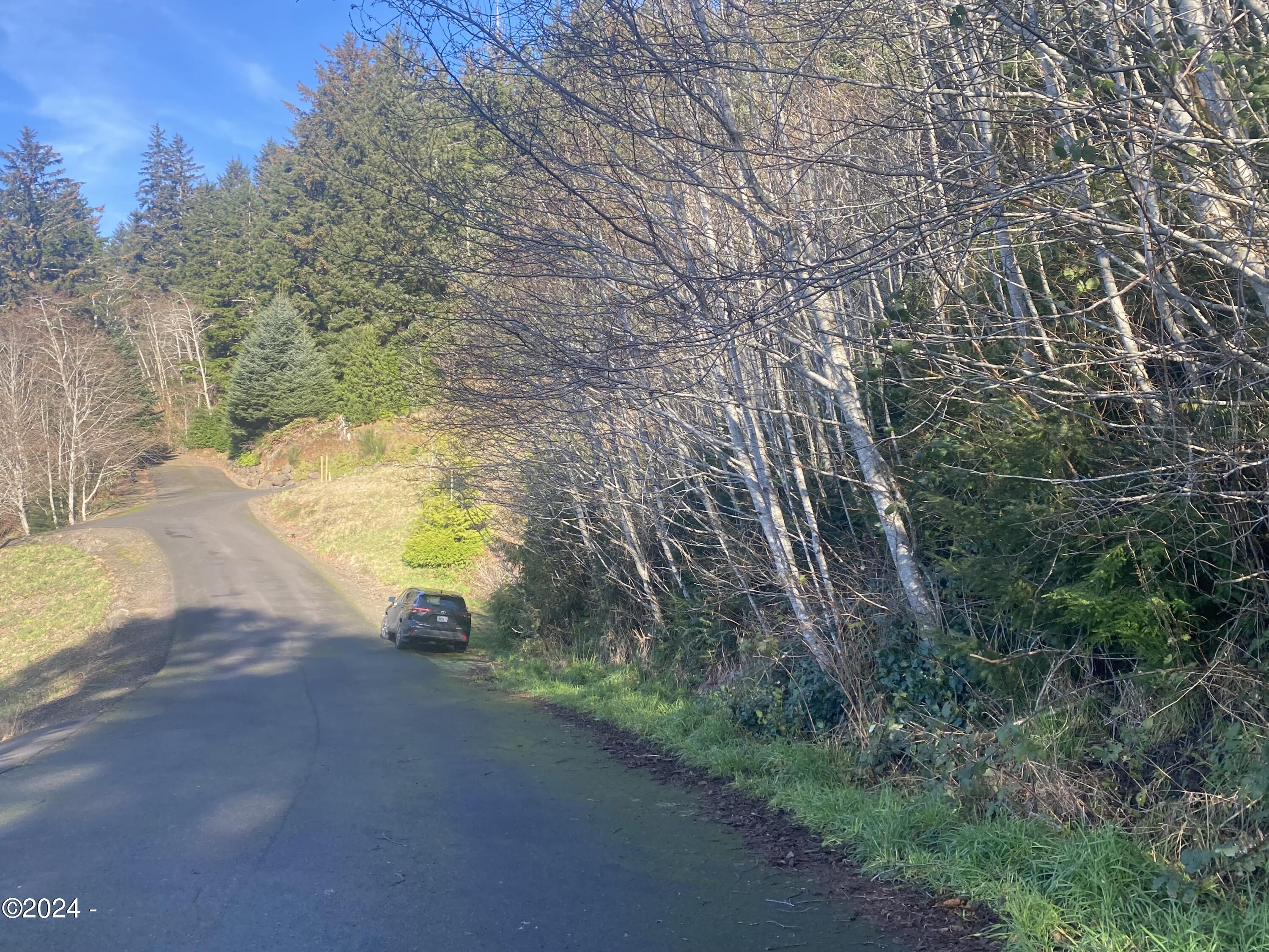 2400 Elk Mountain Road Yachats, OR 97498 - Photo 4 of 11 Lot and North view