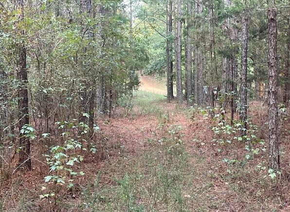 762 Co Road Walnut, MS 38683 - Photo 20 of 41 Screenshot 2024-09-23 124342