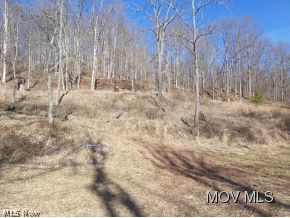 0 Shelving Rock Road Elizabeth, WV 26143 - Photo 10 of 11 Gallery Image 10