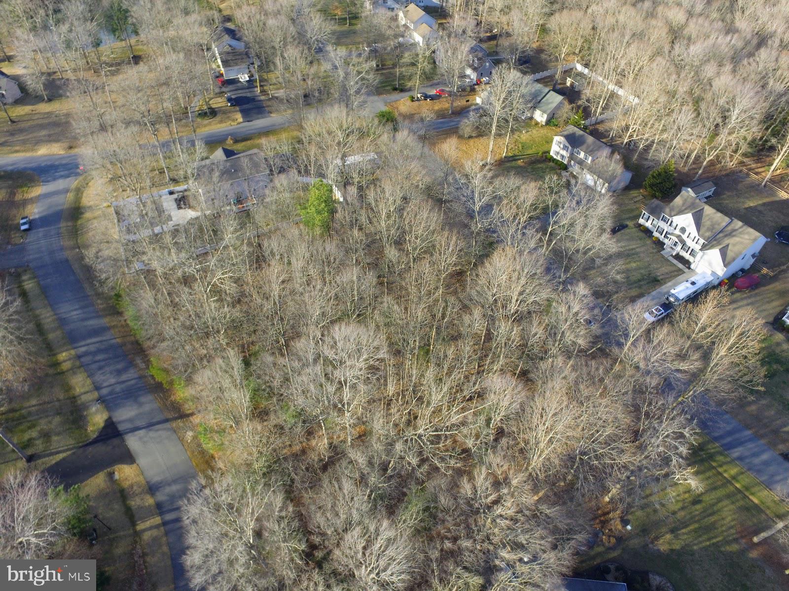 270 Beaver Pond Road Harrington, DE 19952 - Photo 3 of 7 Gallery Image 3