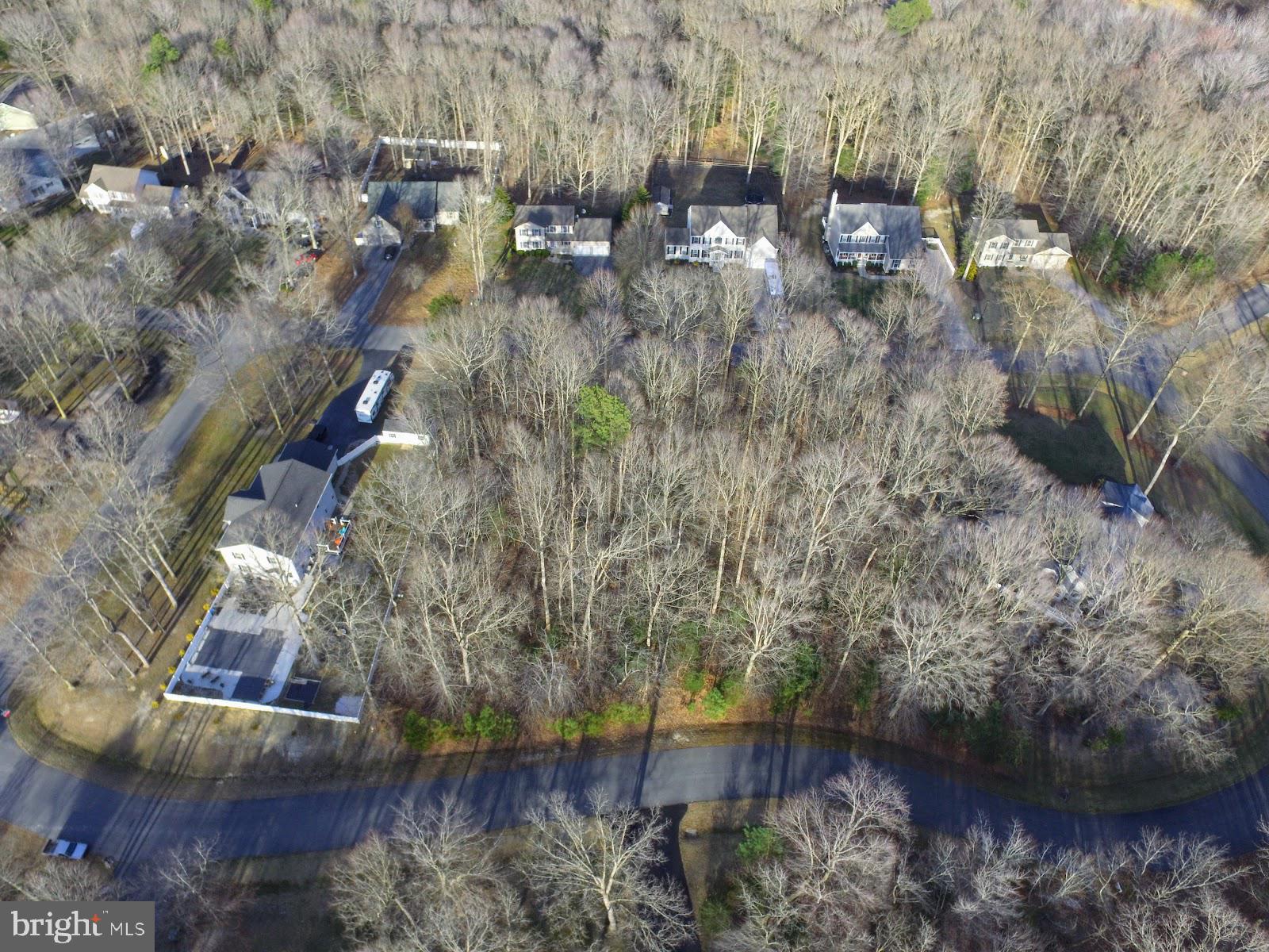 270 Beaver Pond Road Harrington, DE 19952 - Photo 4 of 7 Gallery Image 4