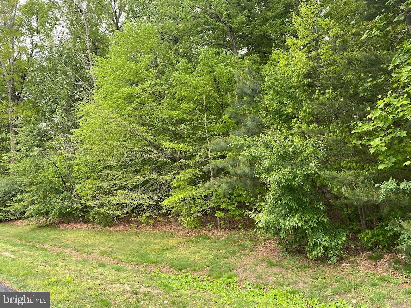 270 Beaver Pond Road Harrington, DE 19952 - Photo 6 of 7 Gallery Image 6