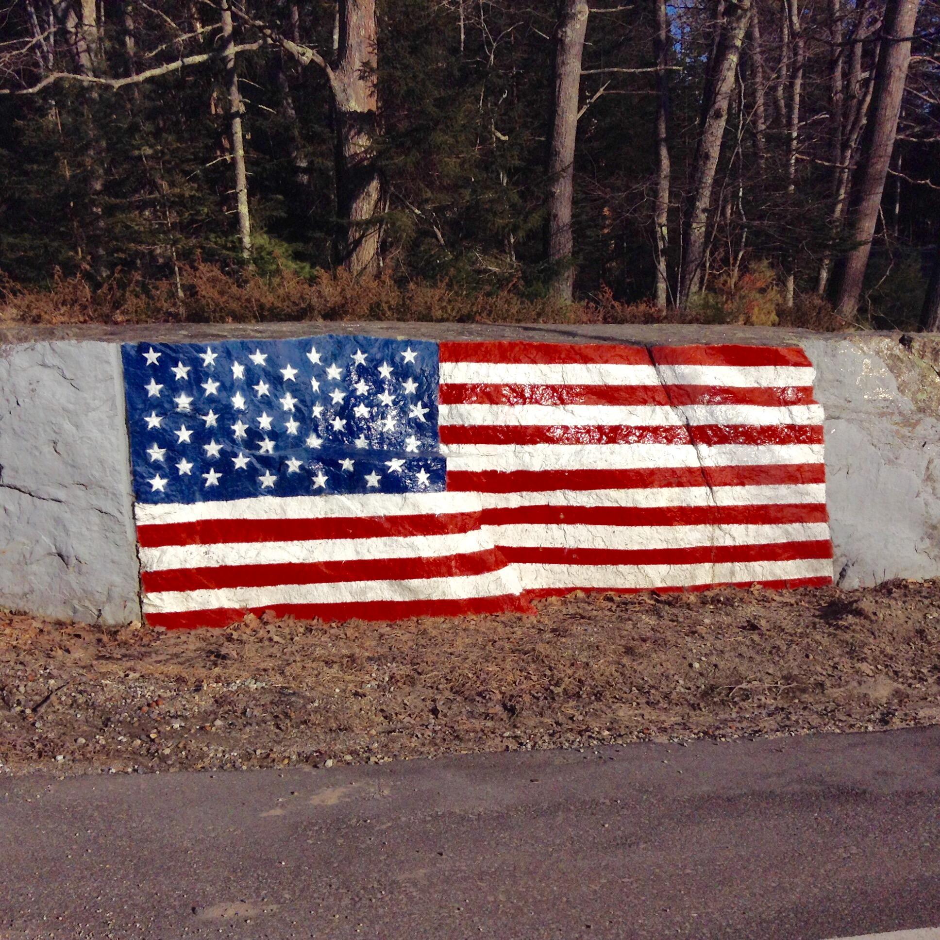202 Seguinland Road Georgetown, ME 04548 - Photo 6 of 22 American Flag