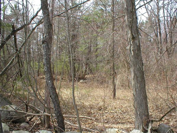 56 Barker Hill Road Townsend, MA 01469 - Photo 3 of 3