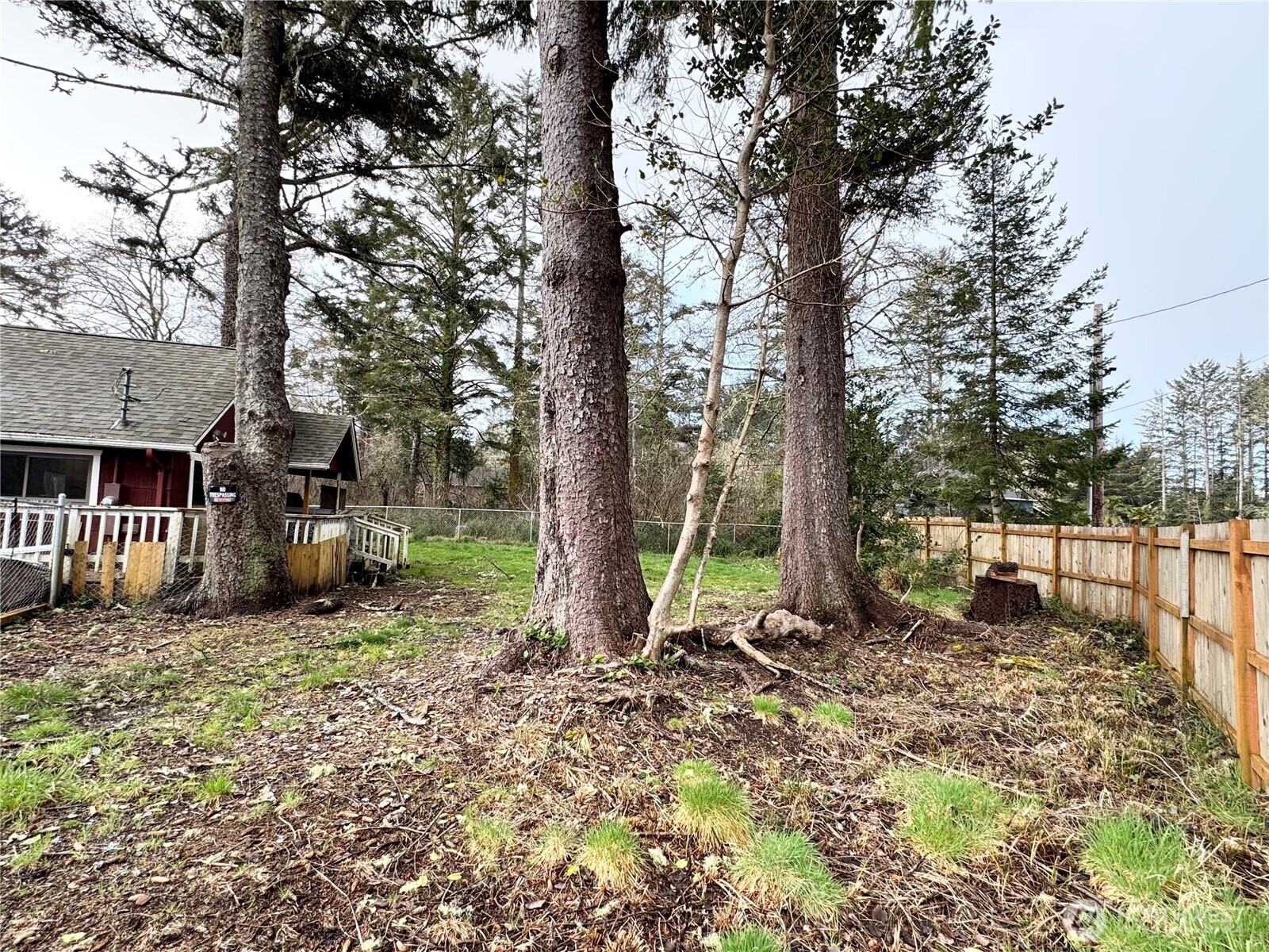 2514 Willows Road Seaview, WA 98644 - Photo 32 of 35