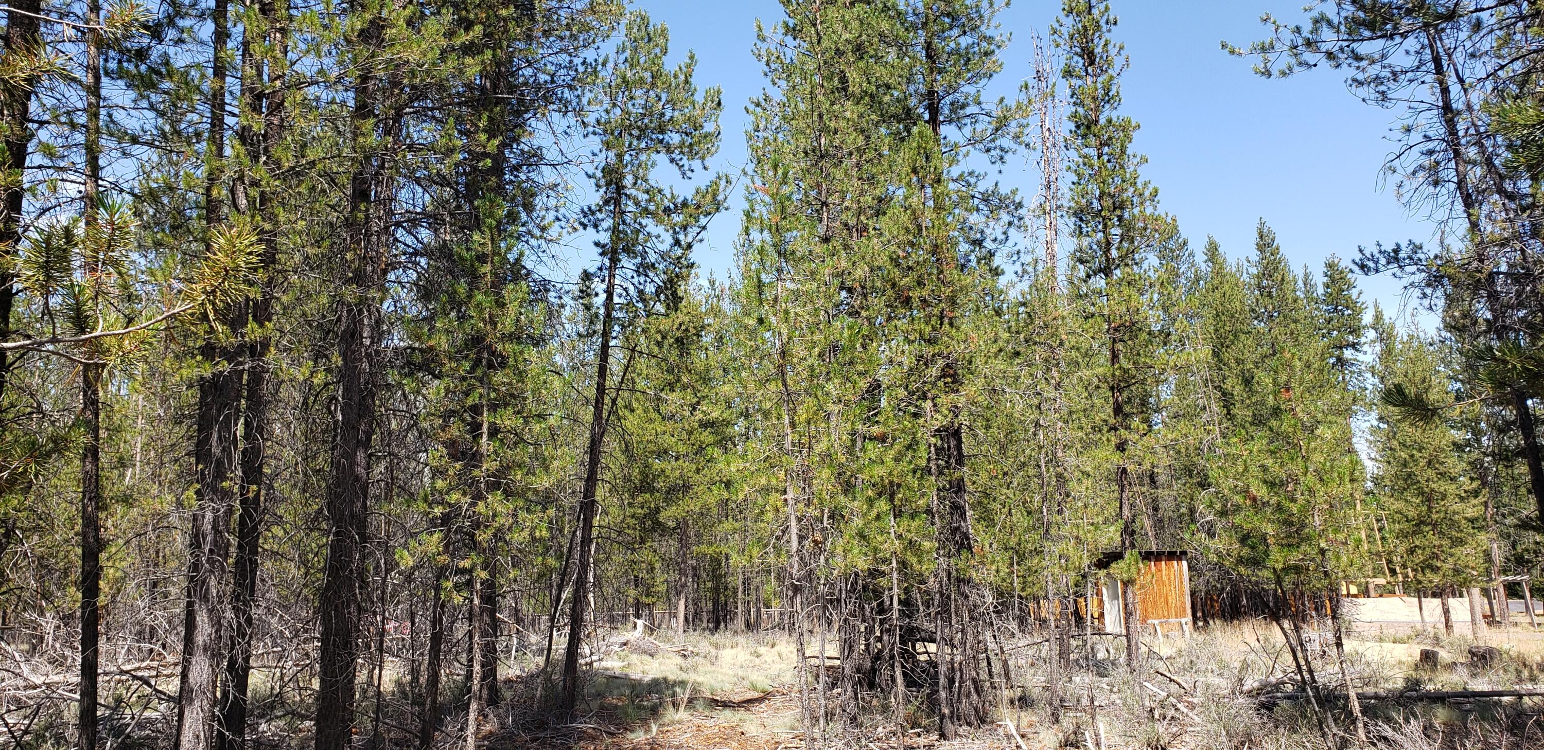 55 Split Rail Road La Pine, OR 97739 - Photo 5 of 5 20220809_120746