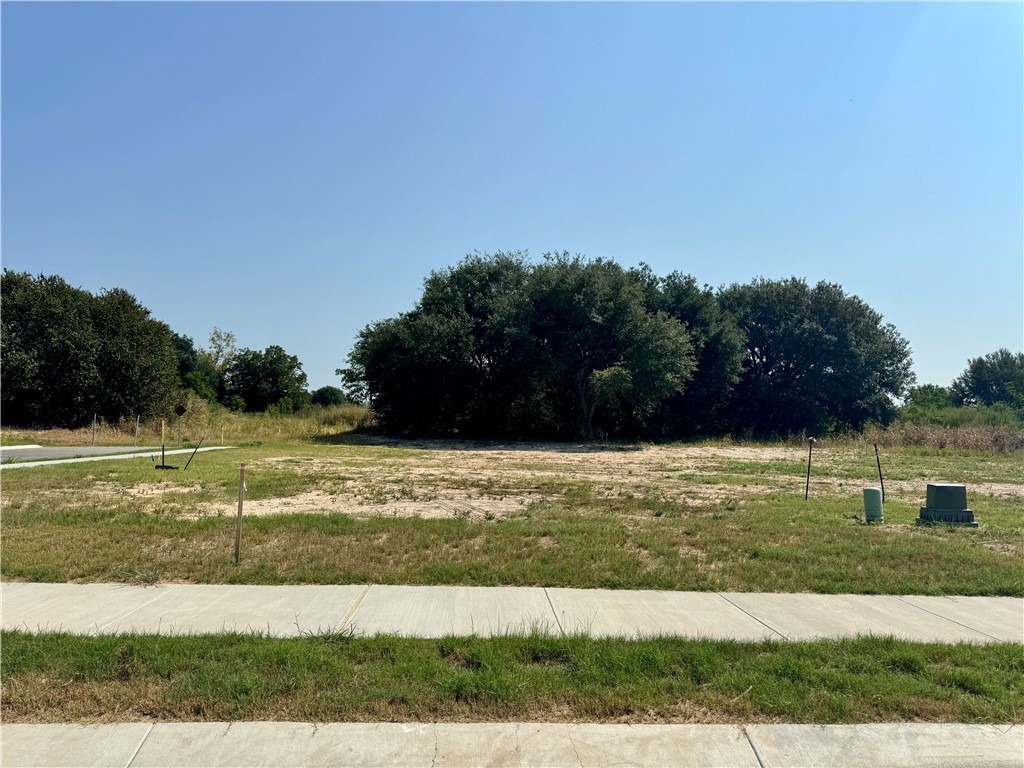 1236 High Street Navasota, TX 77868 - Photo 13 of 14 a view of a lake view