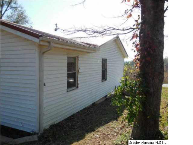 5095 Bluff Springs Road Ashland, AL 36251 - Photo 5 of 18