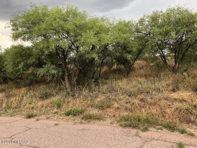 919 Via Orizaba, Unit 24 Rio Rico, AZ 85648 - Photo 1 of 4